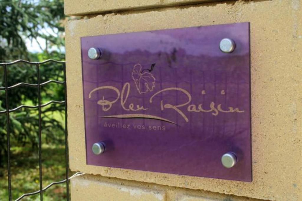 Les Salles-de-Castillon Bleu Raisin B&B 외부 사진