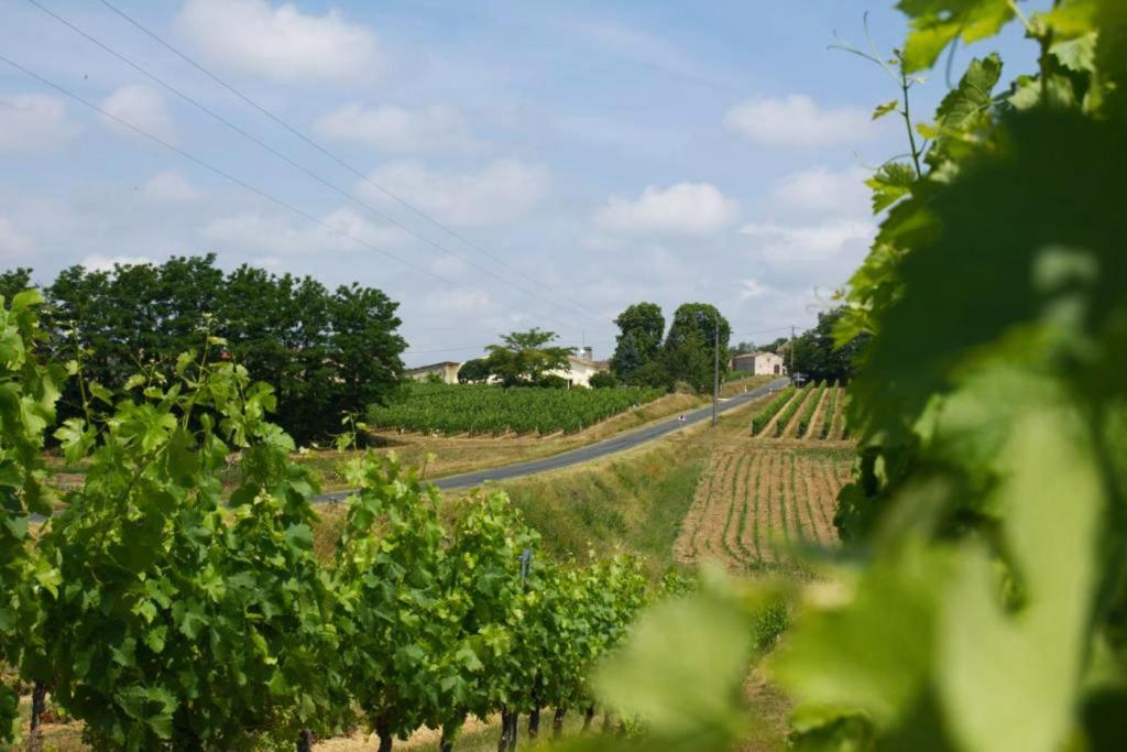 Les Salles-de-Castillon Bleu Raisin B&B 외부 사진
